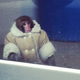 Image for article titled The Official MLB Twitter Account Just Murdered The IKEA Monkey Meme